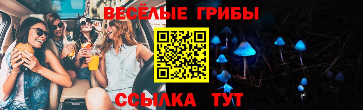 Псилоцибиновые грибы Magic Shrooms  Галлюциногенные грибы Psilocybe  Усть-Илимск  Вход с VPN 